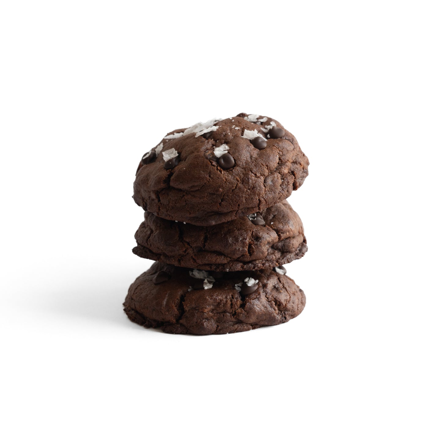 Brownie Double Chocolate Chip